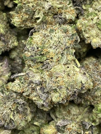 Pink Terps