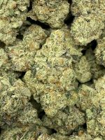 Cheese Kush