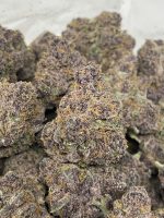 Tropicanna Gusherz