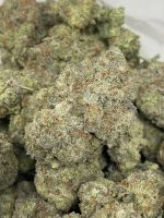Dragon Breath