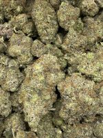 501st OG