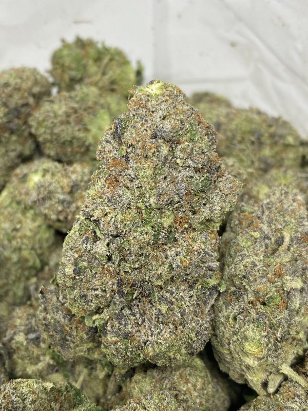 Extraterrestrial Pink