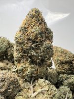 Papaya Haze