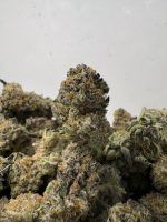Blueberry Diesel