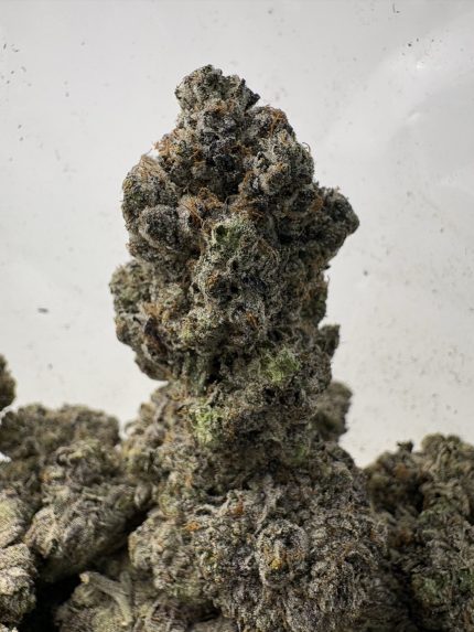 Mission Og