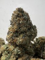 Bubble Gum OG