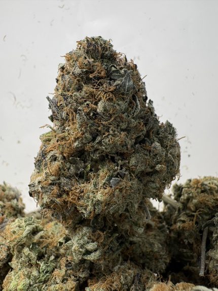 Bubble Gum OG