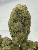 Island Diesel