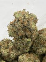 Raptor OG