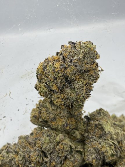 Diablo Gelato